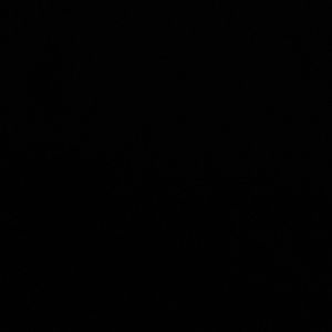 Meet your Posher, Ella